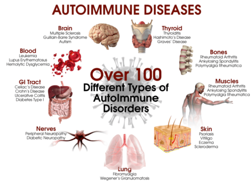 Vitamina D  e sistema immunitario