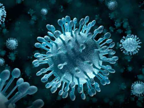 Scoperta di erbe come cura naturale dell’HPV (Papilloma Virus)
