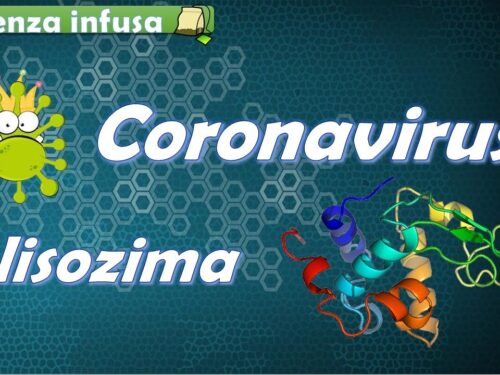 Lisozima: potenziale alleato contro il coronavirus  Interrogazione parlamentare