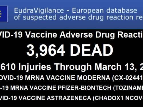 ☠️Report Morti ed Eventi Avversi dei 3 pseudo”Vaccini” Covid fino al 13 marzo 2021  da EudraVigilance la Banca Dati Europea