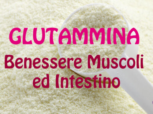 GlutamminaMuscoli e benessere intestinale