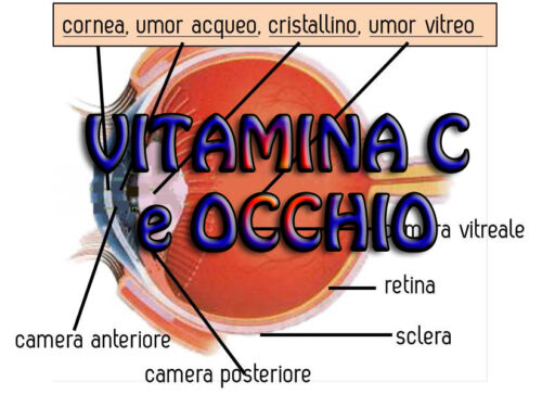 Vitamina C nella salute dell’occhio