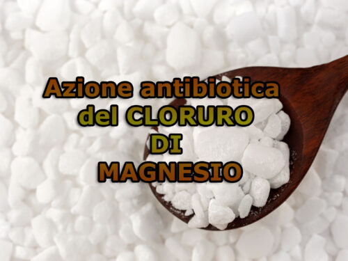 L’azione antibiotica del Magnesio CloruroConsiderazioni del Dr. Claudio Sauro