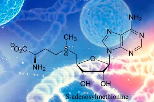S-Adenosil Metionina (SAM-e) per Depressione minore, Artosi e salute del Fegato