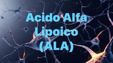 Acido Alfa Lipoico  Vitamina o acido grasso? Uso e dosaggi