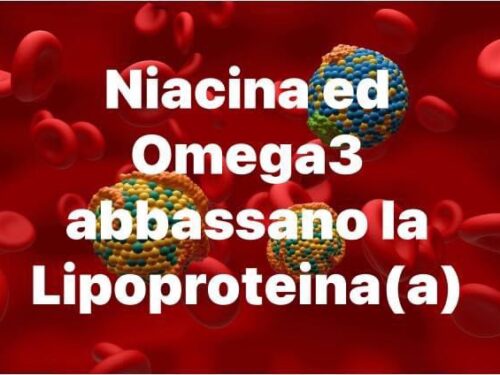 Niacina ed Omega3 per 12 settimane ha abbassato la Liporoteina(a)